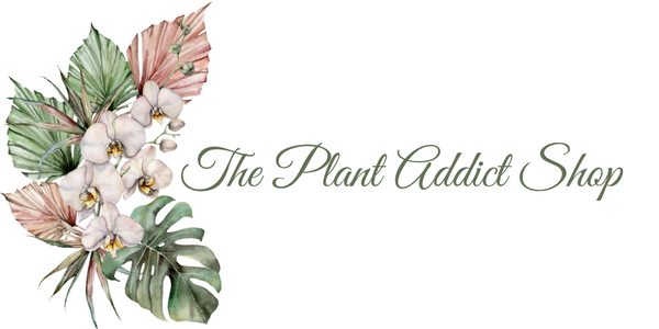 The Plant Addict Shop